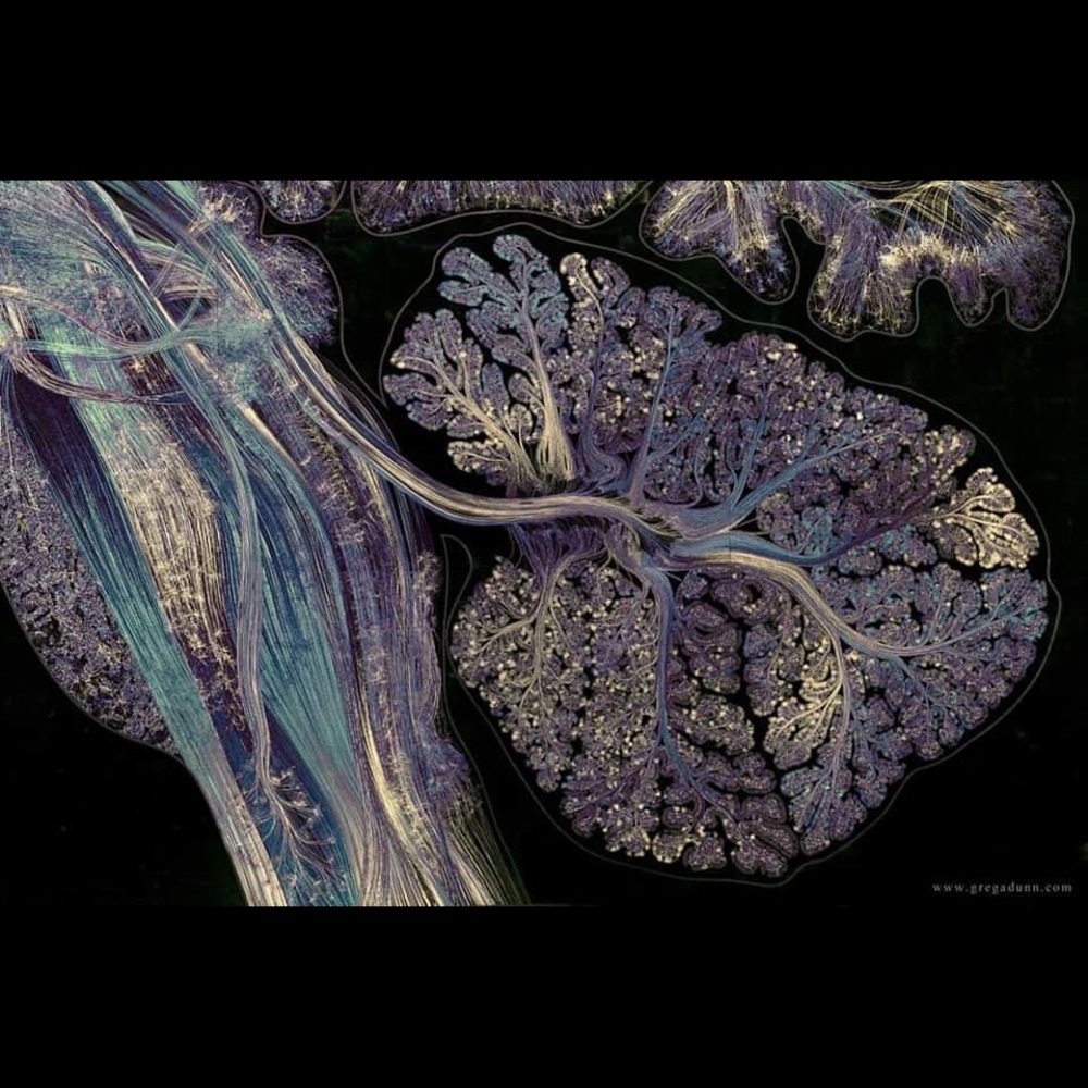 Meet your Posher, Robyn